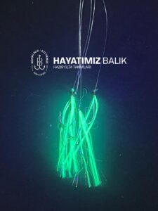 Yeşil Sarı 1