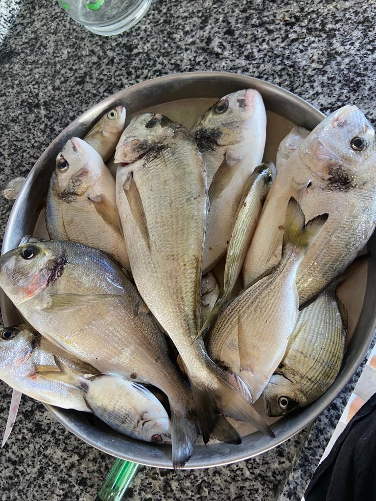 e47266a2-4c9c-46b9-9b13-bfc0c8b8921a