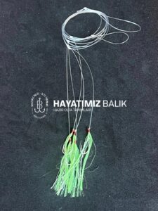 Yeşil Sarı 2